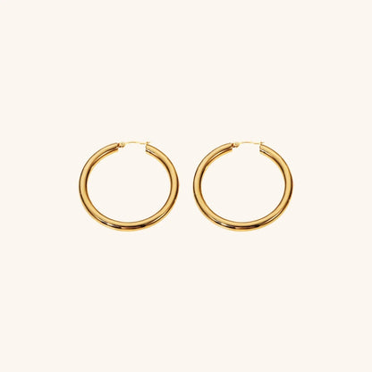 [VA]Wide Hoop Earrings