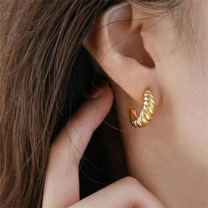 [VA]Croissant Arc Earrings