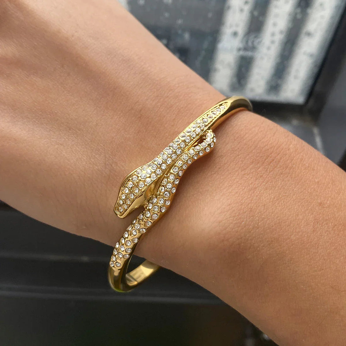 [VA]Rosalee Serpentine Diamond Bangle